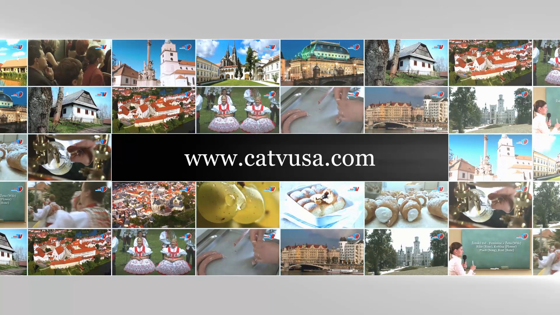 catvusa.com
